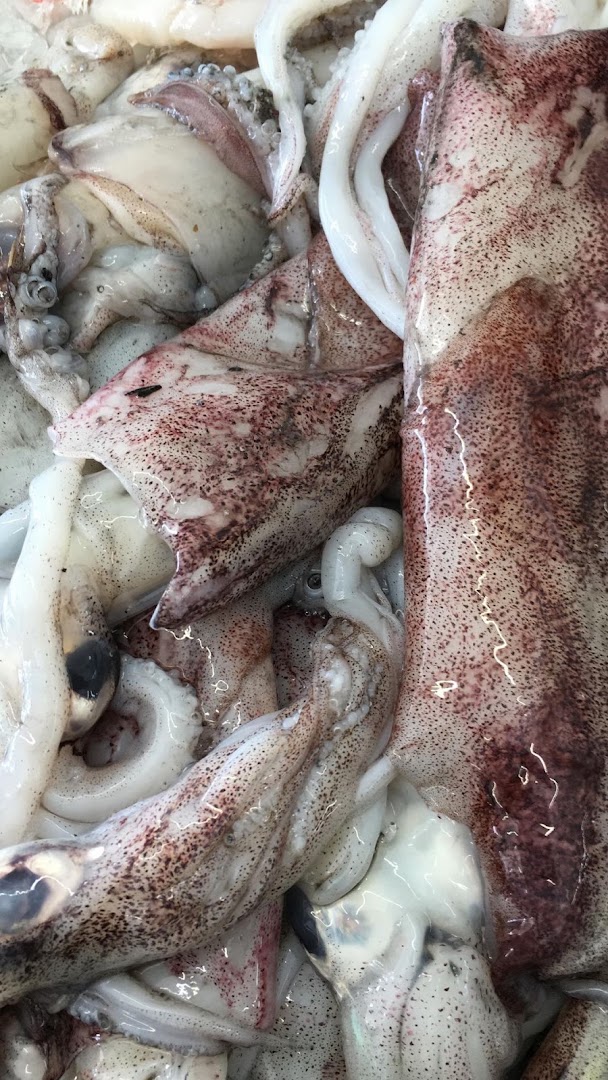 O Almacén Do Peixe · Fotos 10