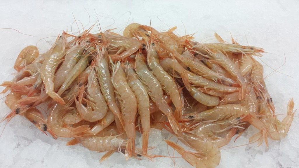 O Almacén Do Peixe · Fotos 9