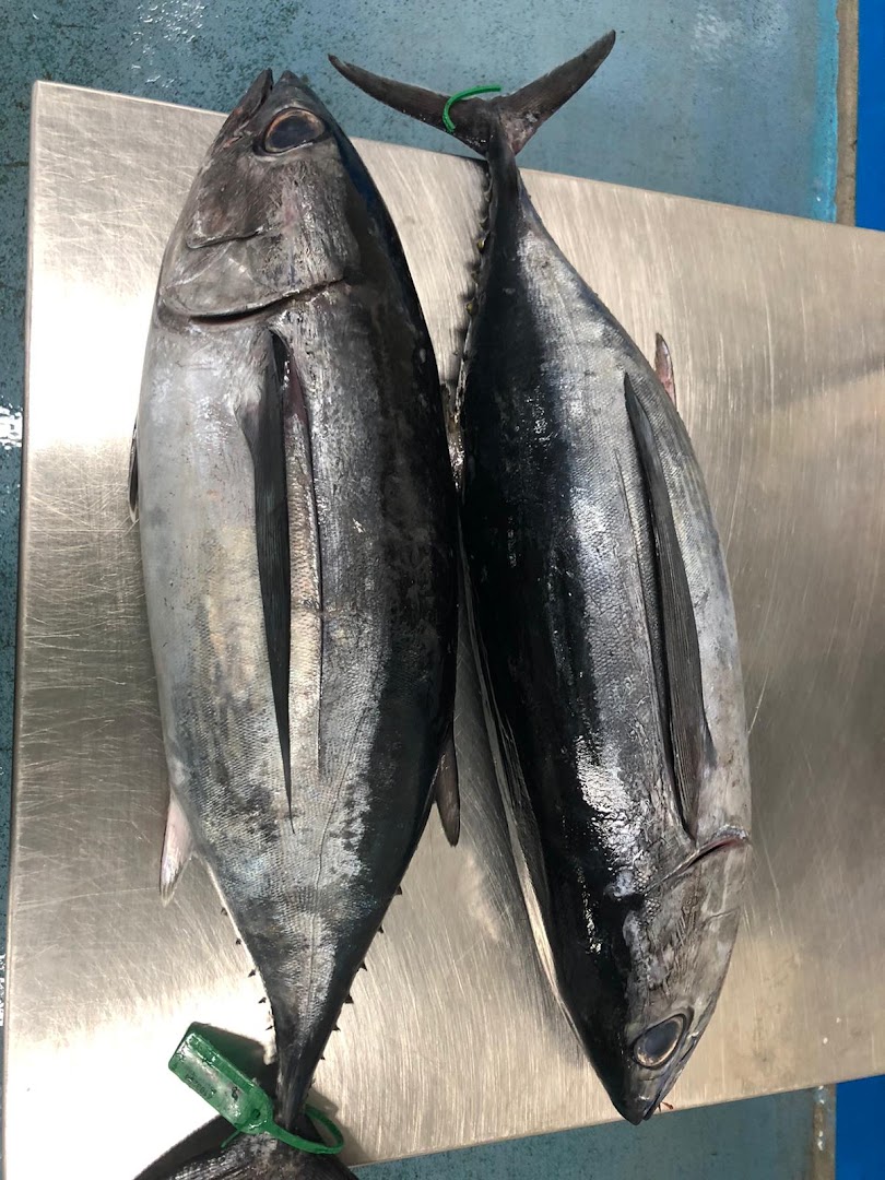 O Almacén Do Peixe · Fotos 7